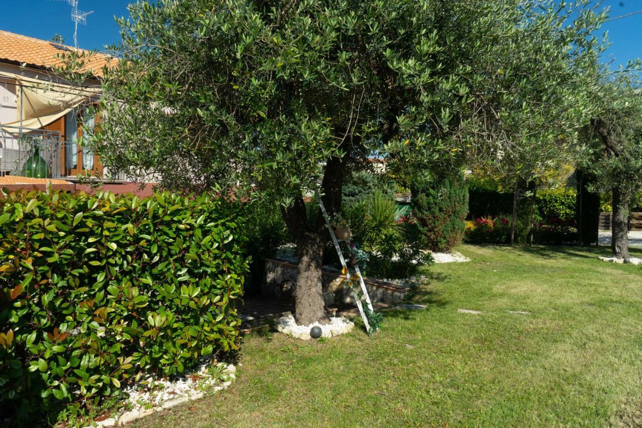 Bed & Breakfast Mafi Orsogna Exteriér fotografie